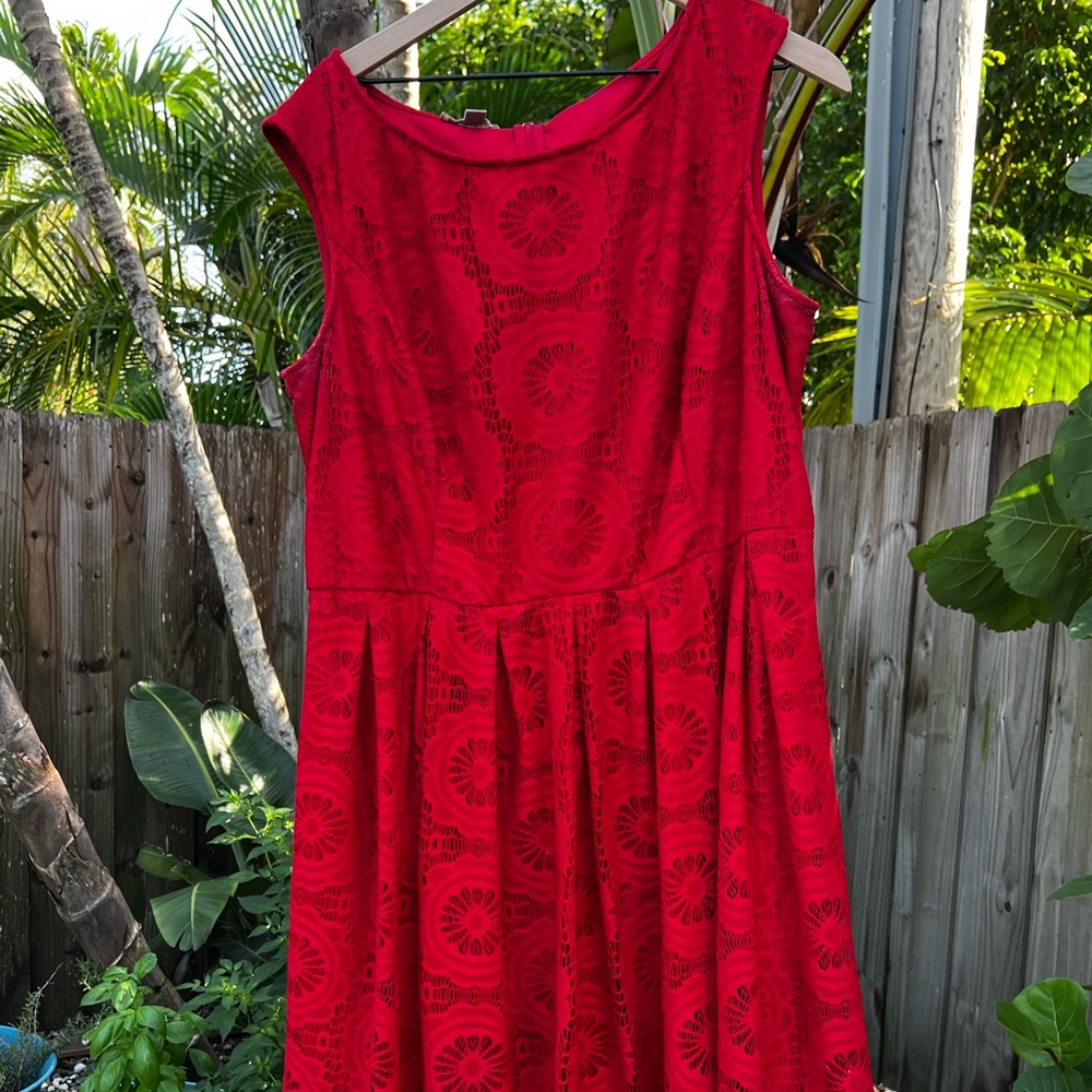 Red lace party dress!